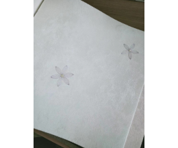 刺绣D1