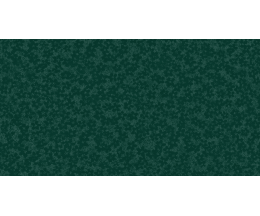 DM171