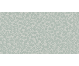DM171