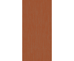 DM171