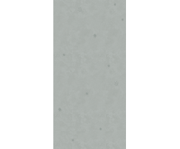 DM172